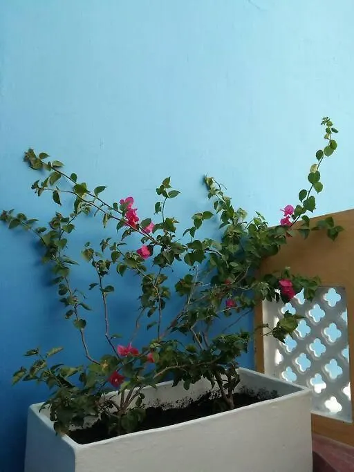 Charming Colonial Home With Pool, Walled City Cartagena